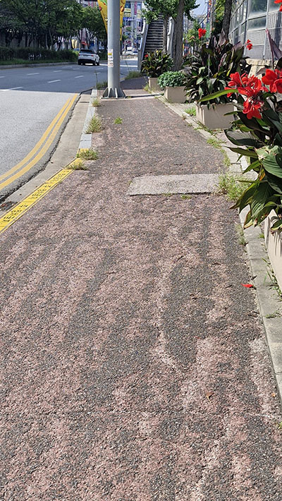 익산 희망연대 자전거 모니터링 (7).jpg